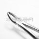 Extraction Forceps No 17