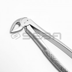 Extraction Forceps No 33