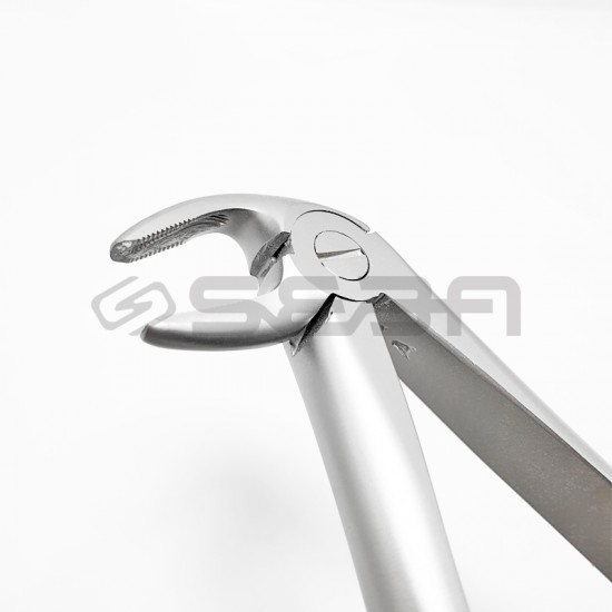 Extraction Forceps No 33A