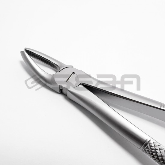 Extraction Forceps No 7