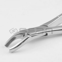 Extracting Forceps 18L