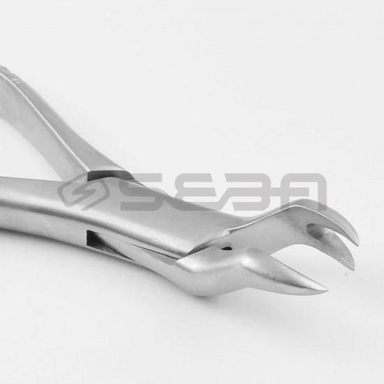 Extracting Forceps 88R