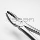 Extraction Forceps No 18