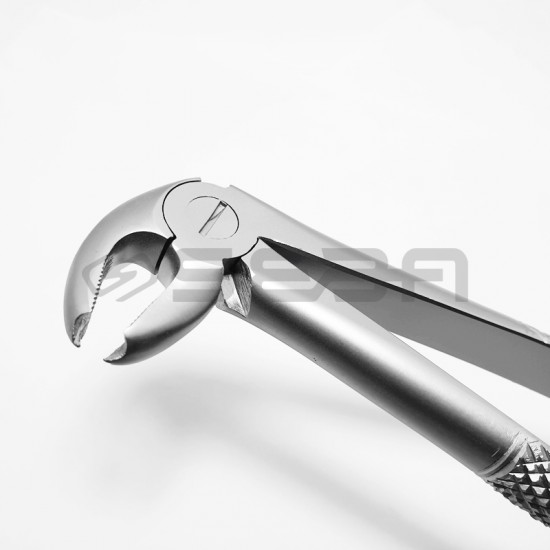 Extraction Forceps No 22