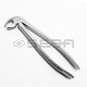 Extraction Forceps No 22