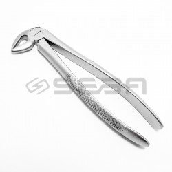 Extraction Forceps No 33