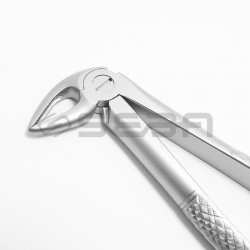 Extraction Forceps No 33L