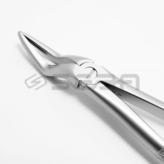 Extraction Forceps No 51L