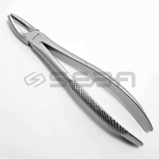 Extraction Forceps No 7